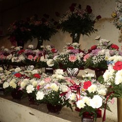 Chester's Flowers
