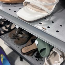 Super Thrift Store - A cockroach!