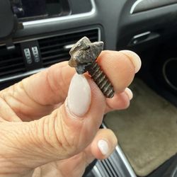 NTB-National Tire & Battery - Screw