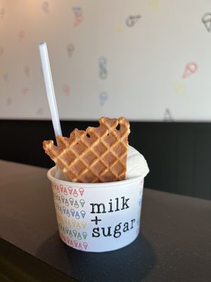 milk + sugar by null