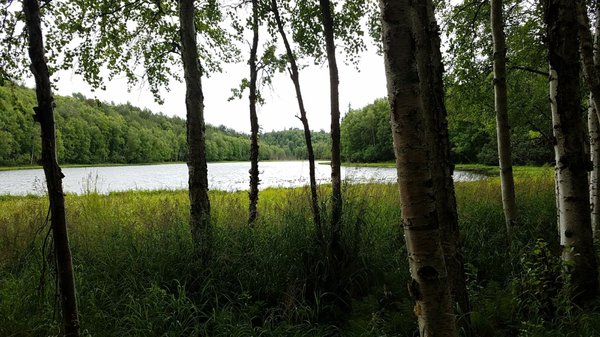 Kincaid Park by null