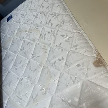 Carousel Oceanfront Hotel & Condos - More stains on the mattress - Resorts Near Me - Ocean City, Maryland Carousel Oceanfront Hotel & Condos - More stains on the mattress - Resorts Near Me - Ocean City, Maryland