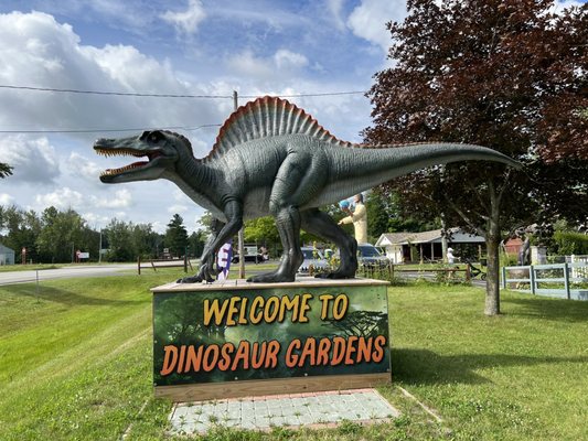 Dinosaur Gardens by null