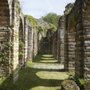Photo of Forum Antique