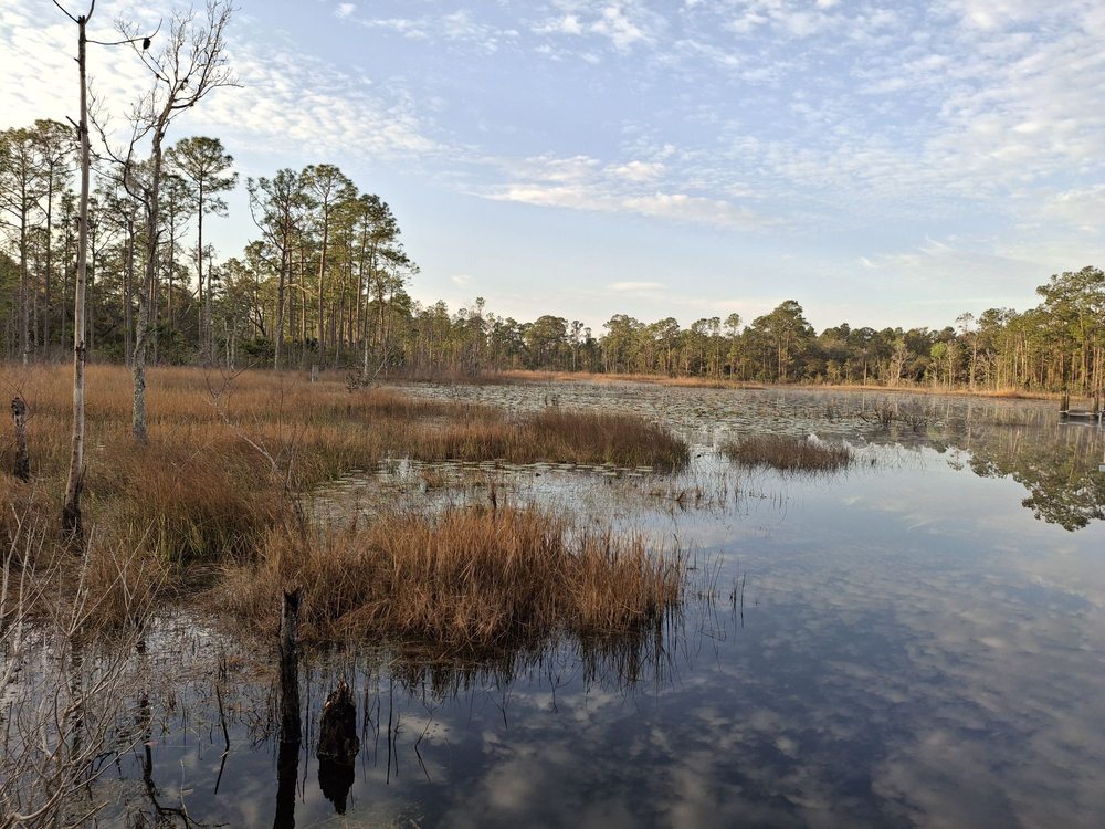 Geneva Wilderness Area Image