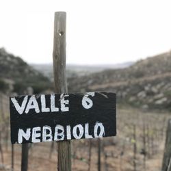 Encuentro Guadalupe - Walking around the vineyards