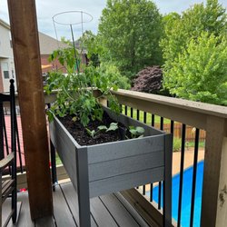 Baeten's Nursery and Greenhouses - Trying out my tomatoes in a raised deck box.