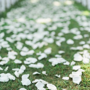 The Enchanted Florist - Ceremony petals by The Enchanted Florist - Florists Near Me - Burbank, California The Enchanted Florist - Ceremony petals by The Enchanted Florist - Florists Near Me - Burbank, California