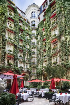La Cour Jardin by null