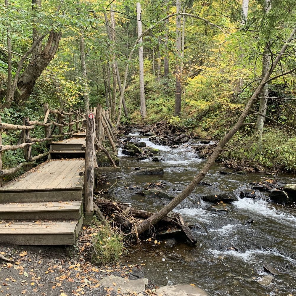 Bushkill Falls - A lot of the trail is paved with stairs - Tours Near Me - Bushkill, Pennsylvania Bushkill Falls - A lot of the trail is paved with stairs - Tours Near Me - Bushkill, Pennsylvania