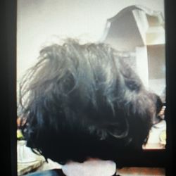 Glamorous bobs