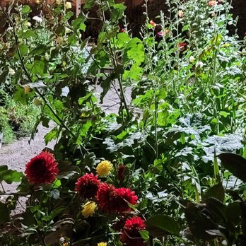 Timberline Restaurant - Comfort Food Near Me - Guerneville, California