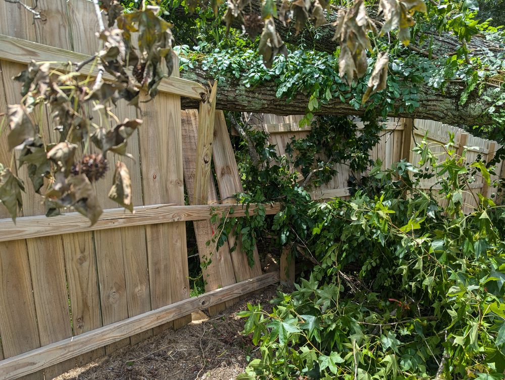 Southern Grind Stump & Tree Removal - tree service in Augusta, GA