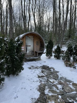 The Rex Hotel by null