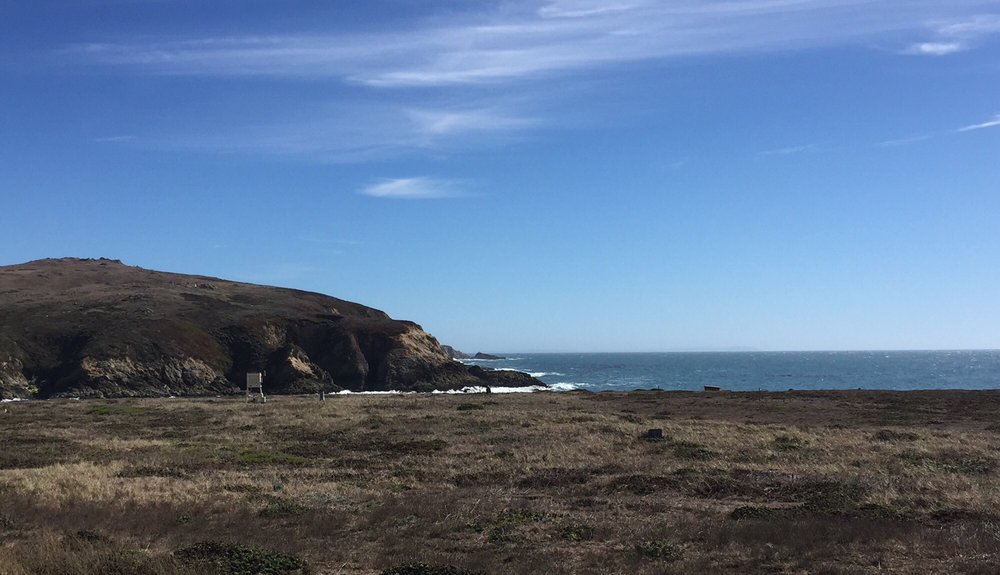 UNIVERSITY OF CALIFORNIA, DAVIS BODEGA MARINE LABORATORY Open for