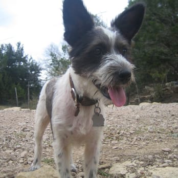 A to Z Dog Ranch - Pet Groomers Near Me - Spicewood, Texas