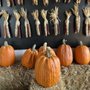 Photo of Pumpkins And More Farm Market
