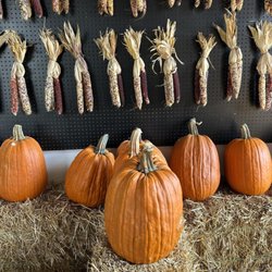Pumpkins And More Farm Market
