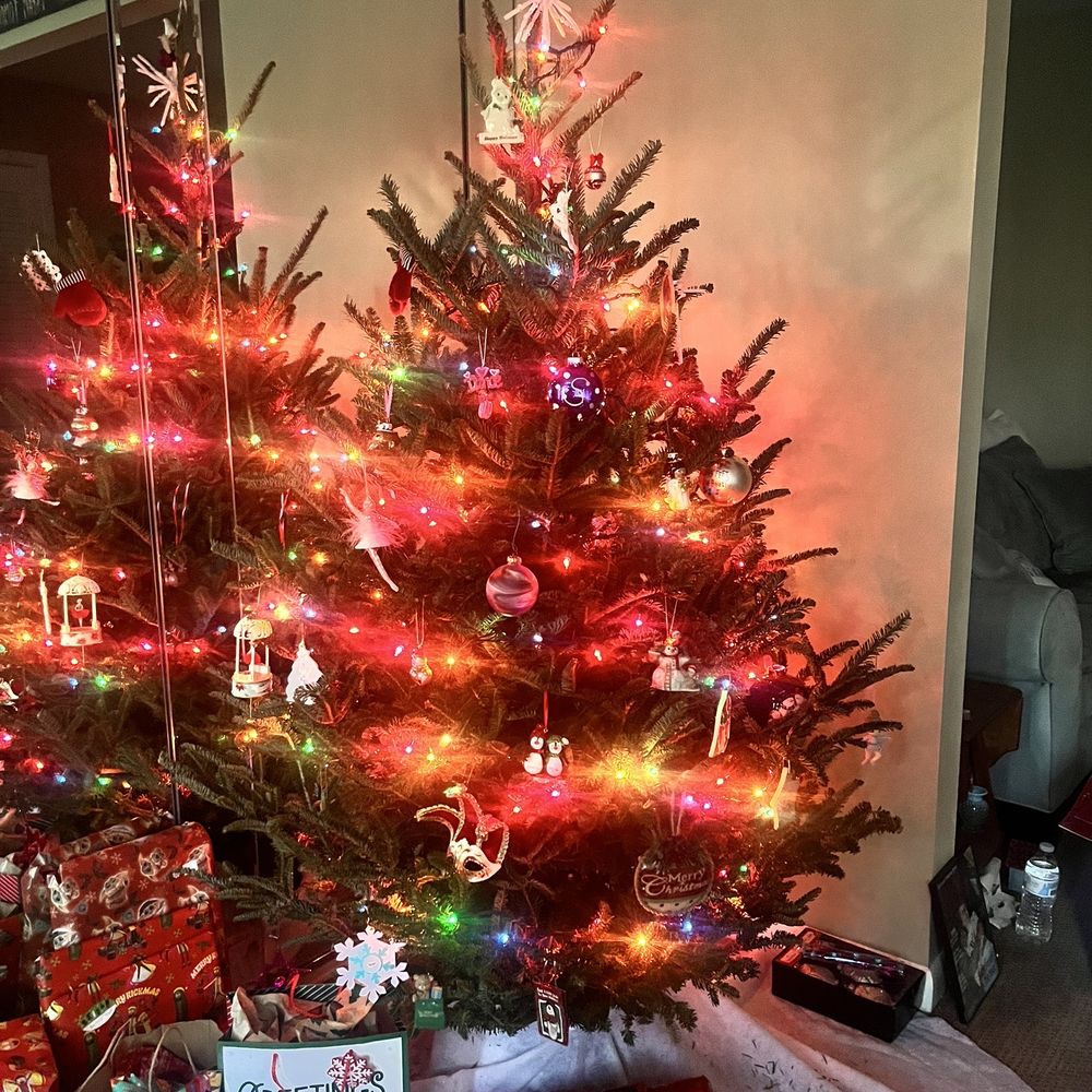 Kenny Alexander's Christmas Trees - Decorated xmas tree - Holiday Decorations Near Me - Hatboro, Pennsylvania