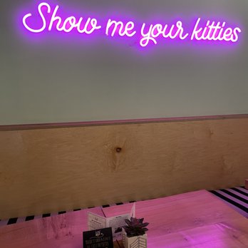 NEKO: A Cat Cafe - interior - Themed Cafes Near Me - Seattle, Washington