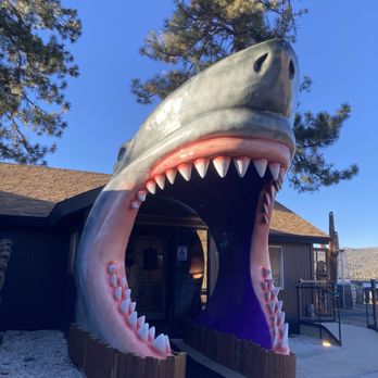 TROPICALI - Updated March 2025 - 3262 Photos & 3652 Reviews - 40771 Big