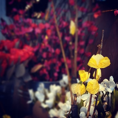 west elm by null