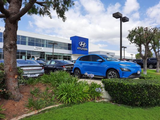 Pedder Hyundai Of Poway