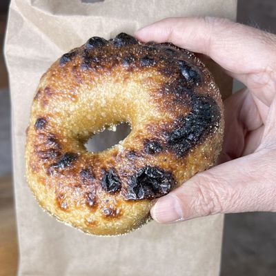 Rover Bagel by null Rover Bagel by null