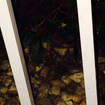 Dandee Donut Factory - Rat in between the rocks!!!!! - Donuts Near Me - Pompano Beach, Florida