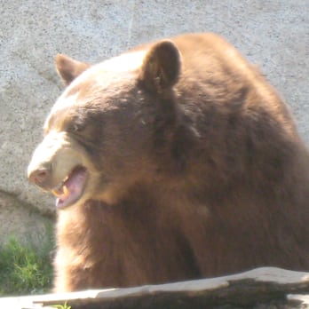 CALM Zoo - Zoos Near Me - Bakersfield, California