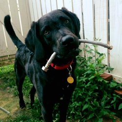 Plumbers of America LLC