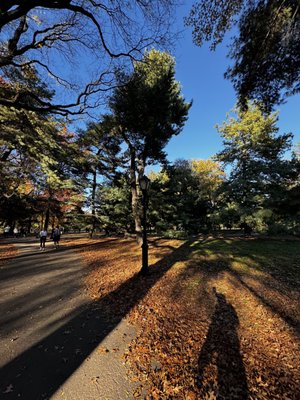 The Great Lawn by null