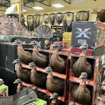 SAIL - So many turkey decoys! - Outdoor Gear Near Me - Brossard, Quebec