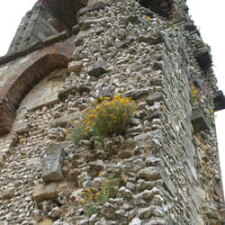 Wolvesey Castle