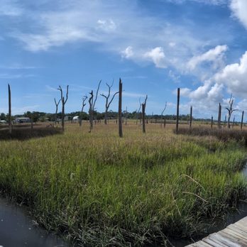 Cradle Creek Preserve - Panoramic views - Parks Near Me - Jacksonville Beach, Florida