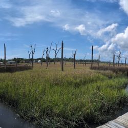 Cradle Creek Preserve - Panoramic views