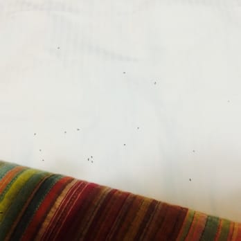Land's End Resort - Bugs in bed - Hotels Near Me - Homer, Alaska Land's End Resort - Bugs in bed - Hotels Near Me - Homer, Alaska