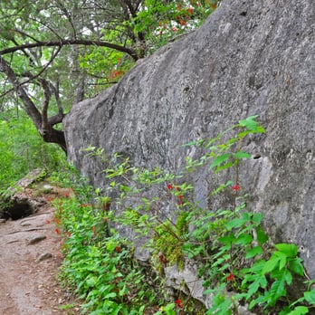 McKinney Falls State Park - Rock face behind wildflowers along a path at McKinney Falls State Park - April 2013 - Parks Near Me - Austin, Texas McKinney Falls State Park - Rock face behind wildflowers along a path at McKinney Falls State Park - April 2013 - Parks Near Me - Austin, Texas