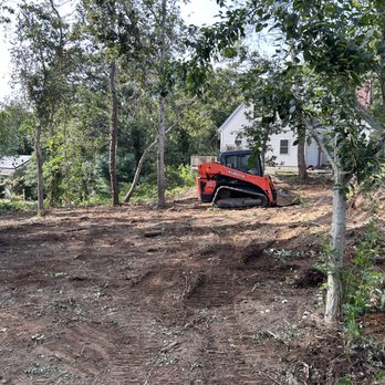 Treeworks - Tree Services Near Me