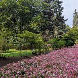 Giardini Botanici di Villa Taranto