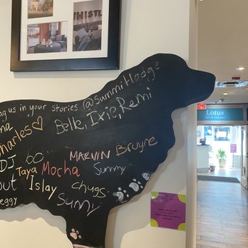 Summit Lodge Boutique Hotel - The care they take in welcoming your pets - Hotels Near Me - Whistler, British Columbia Summit Lodge Boutique Hotel - The care they take in welcoming your pets - Hotels Near Me - Whistler, British Columbia