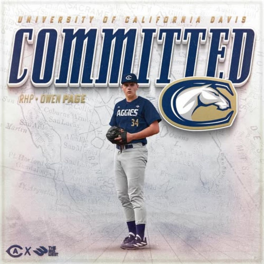 Golden Spikes Baseball Logo