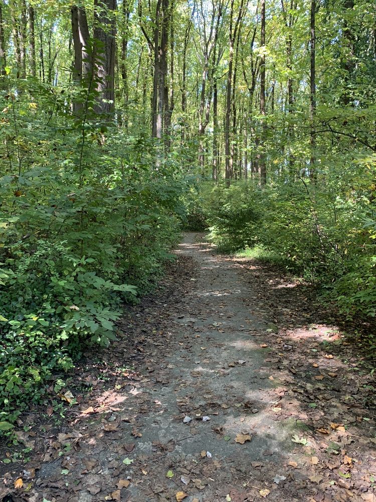 HAYCOCK LONGFELLOW PARK Updated June 2024 6650 Kirby Ct, Falls