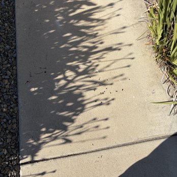 Premium Roofing Systems - Paint splatter on the side walk - Roofing Near Me - Santa Ana, California