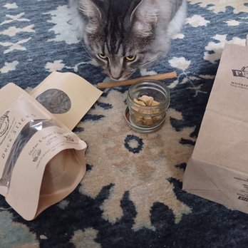 Pet Wants - South Hills - The kitty at home sniffling out new eats - Pet Stores Near Me - Pittsburgh, Pennsylvania Pet Wants - South Hills - The kitty at home sniffling out new eats - Pet Stores Near Me - Pittsburgh, Pennsylvania