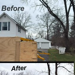 Gillis Tree Solutions - Before and after