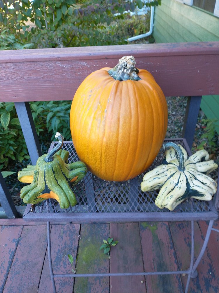 WILFERT FARMS 7528 Manitou Dr, Two Rivers, WI Yelp