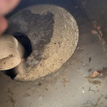 Attic Pros - Pest Control Near Me - Oakland, California Attic Pros - Pest Control Near Me - Oakland, California