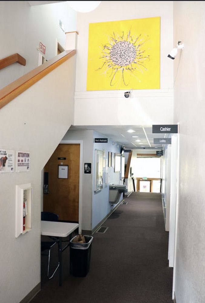 Therapeutic Health Services - grief counselor in Bellevue, WA