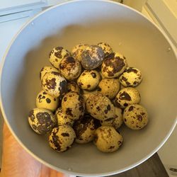 L.A. Water/ Balut-Hot Vit Lon - 8-10 minute boil and they are ready.